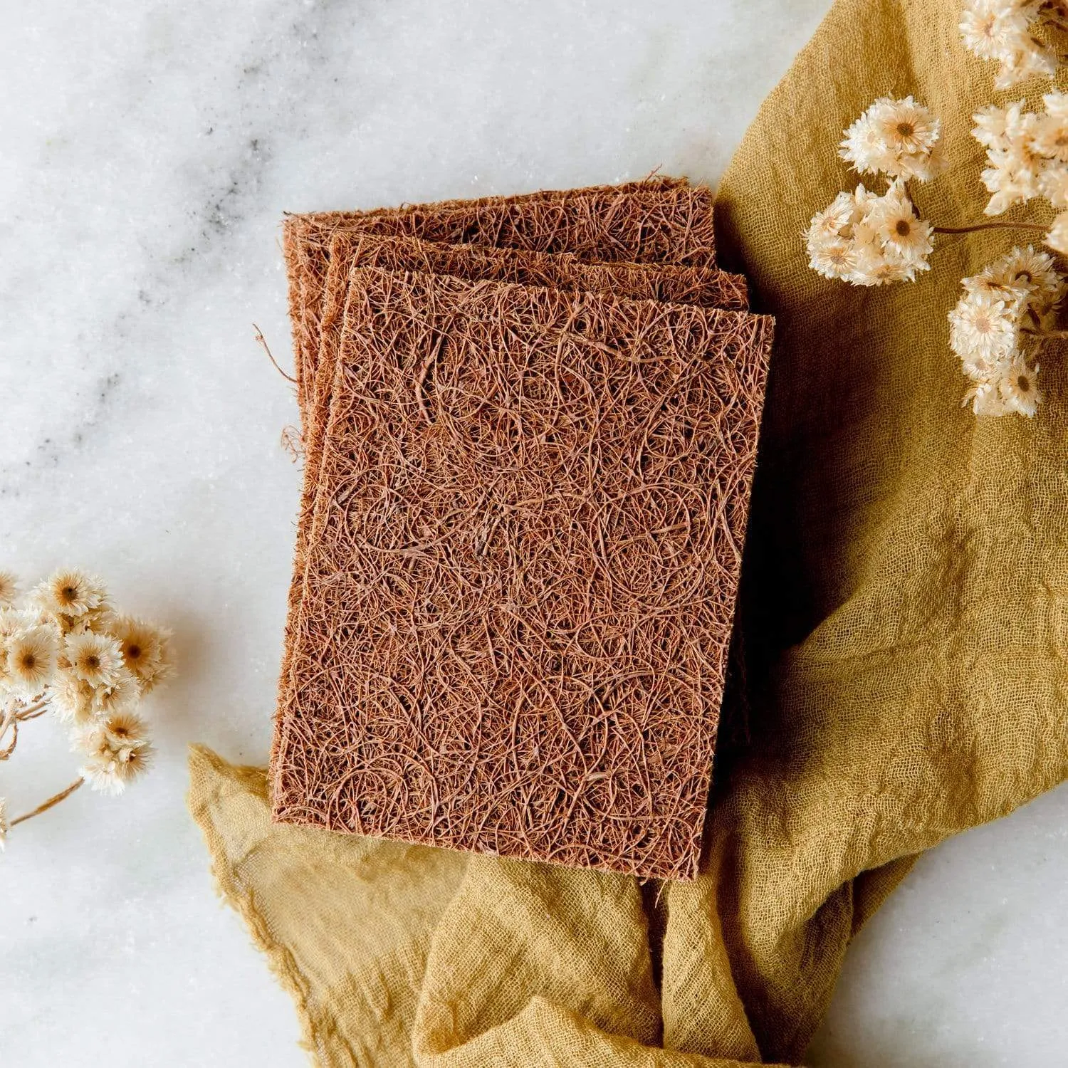 Biodegradable Coconut Kitchen Scourers- 5 Pack