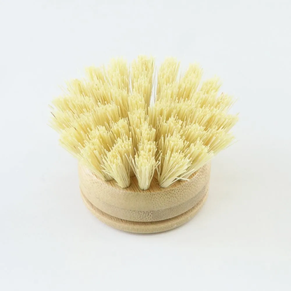 Biome Dish Brush Replacement Head