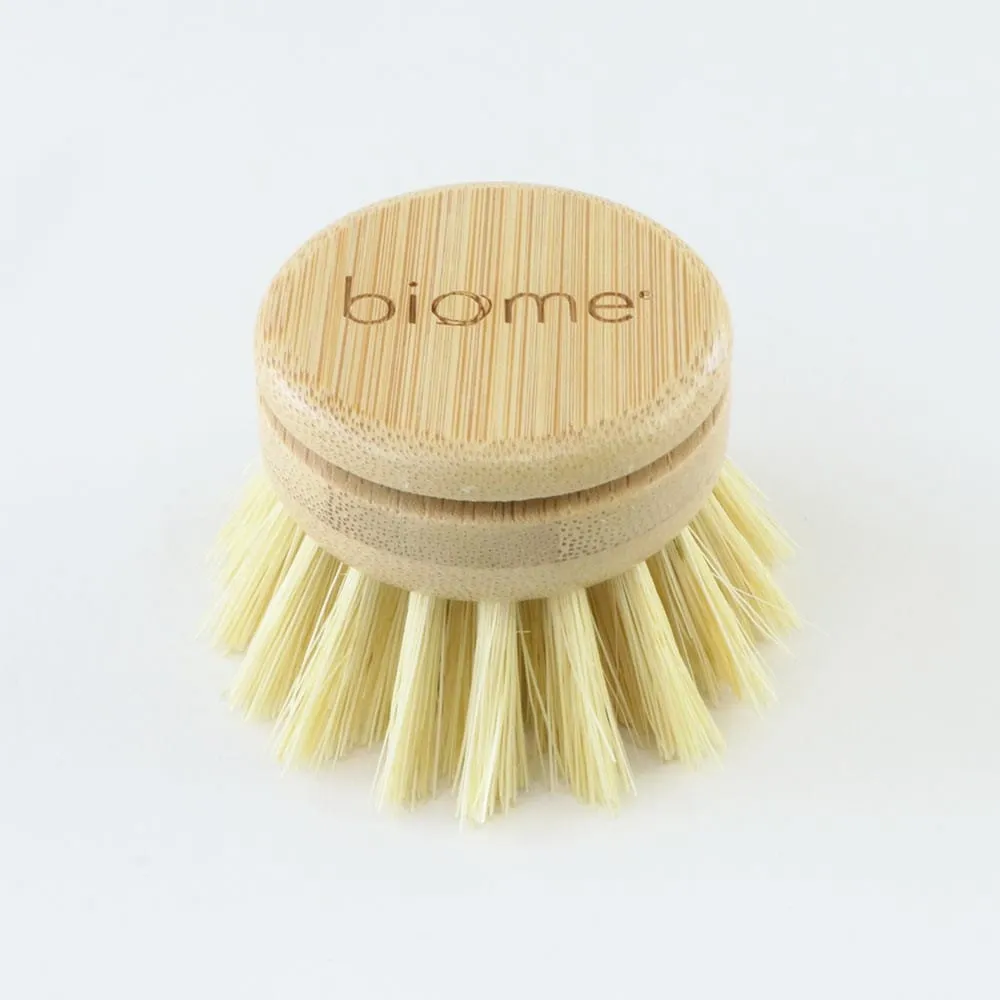 Biome Dish Brush Replacement Head
