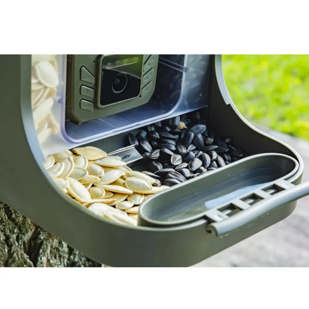 Bird Feeder and Camera