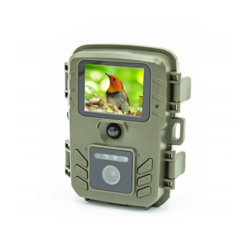 Bird Feeder and Camera