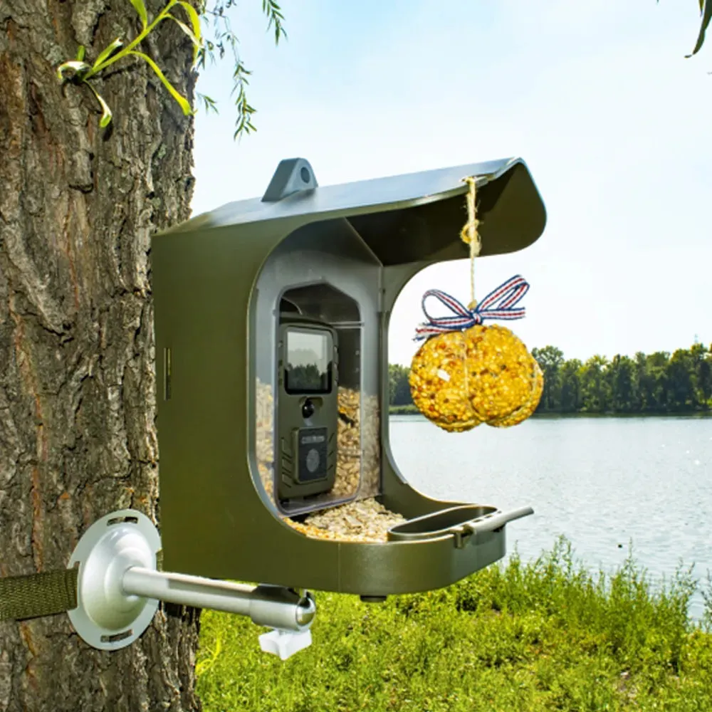 Bird Feeder and Camera