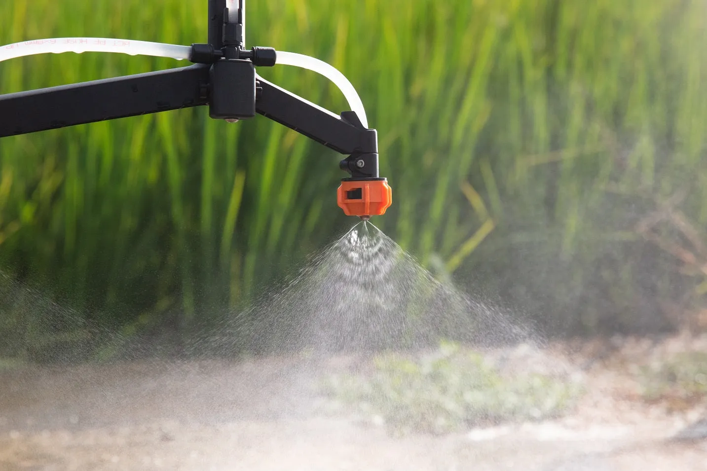 Buy DJI Agras T20 Sprayer Drone