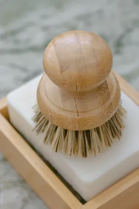 Casa Agave Pot Scrubber