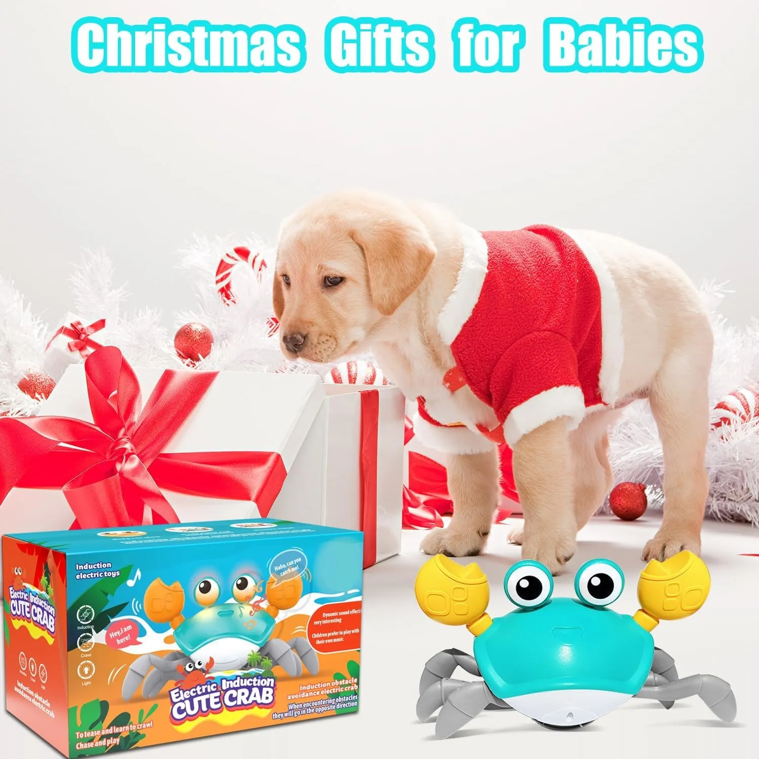Crawling Crab Dog Toys