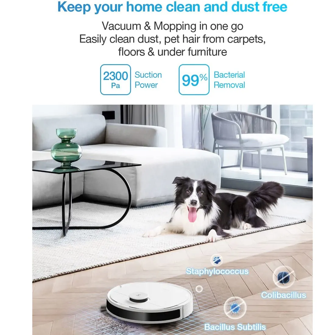 ECOVACS DEEBOT N8 Floor Cleaning Robotic Vacuum - White