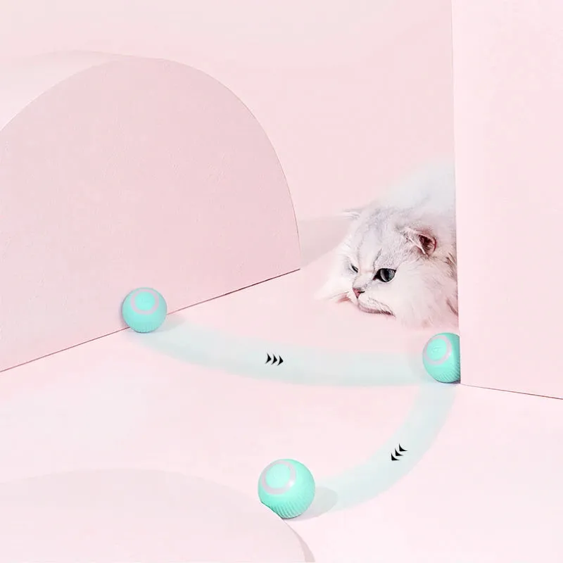 Remote Control Interactive Cat Car Toy