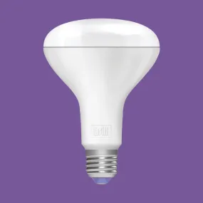 SMART LED ANTIMICROBIAL FLOOD BULB